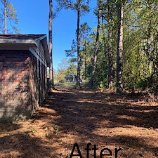 Clearing-Land-Project-Conway-SC 8