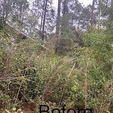 Clearing-Land-Project-Conway-SC 5