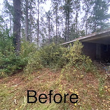 Clearing-Land-Project-Conway-SC 3