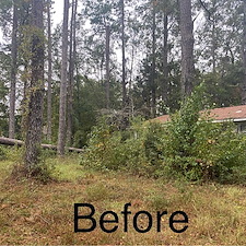 Clearing-Land-Project-Conway-SC 1