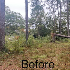 Clearing-Land-Project-Conway-SC 0