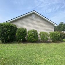 Hedge-TrimmingLandscape-Bed-Cleanup-Conway-SC 1