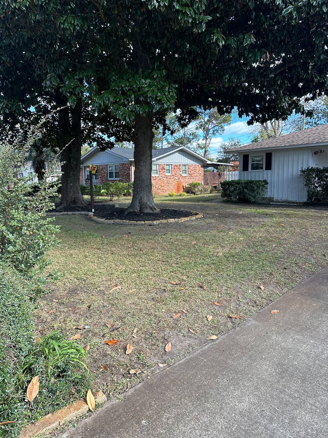 Leaf Cleanup Project Myrtle Beach, SC