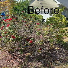 Top-Quality-Mulching-and-Hedge-Trimming-Project-Myrtle-Beach-SC 0