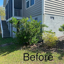 Top-Quality-Mulching-and-Hedge-Trimming-Project-Myrtle-Beach-SC 1