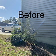 Top-Quality-Mulching-and-Hedge-Trimming-Project-Myrtle-Beach-SC 5