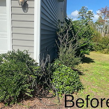 Top-Quality-Mulching-and-Hedge-Trimming-Project-Myrtle-Beach-SC 6