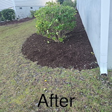 Top-Quality-Mulching-and-Hedge-Trimming-Project-Myrtle-Beach-SC 10