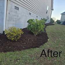 Top-Quality-Mulching-and-Hedge-Trimming-Project-Myrtle-Beach-SC 14